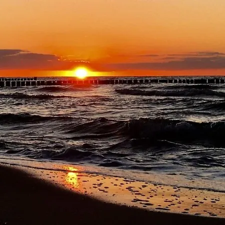 Dune Dream Διαμέρισμα Zingst