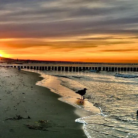 Dune Dream Διαμέρισμα *