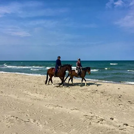 Διαμέρισμα Dune Dream Zingst