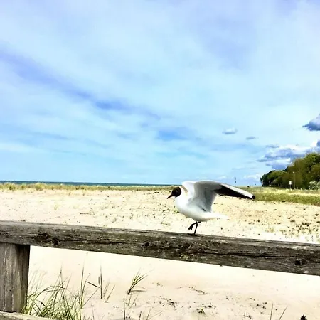 Διαμέρισμα Dune Dream Zingst